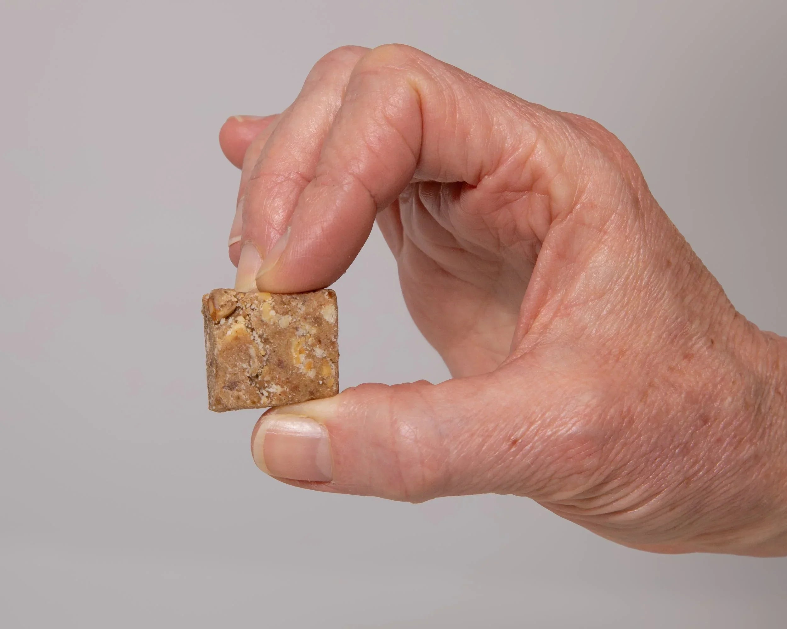 Hand holding a calcium chew